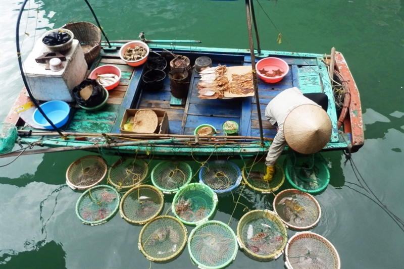 floating market