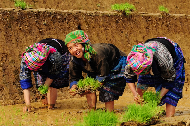 Round trip VIETNAM