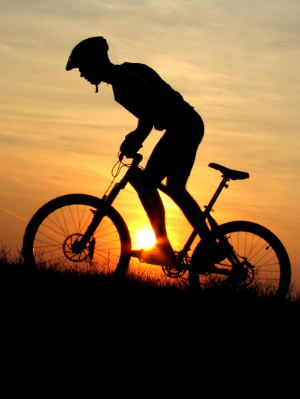 Cycle Phnom Penh to Siem Reap - 8 DAYS 