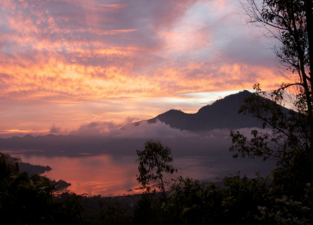 Elements of Indonesia - 21 DAYS